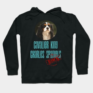 Cavalier King Charles Spaniels Rock! Hoodie